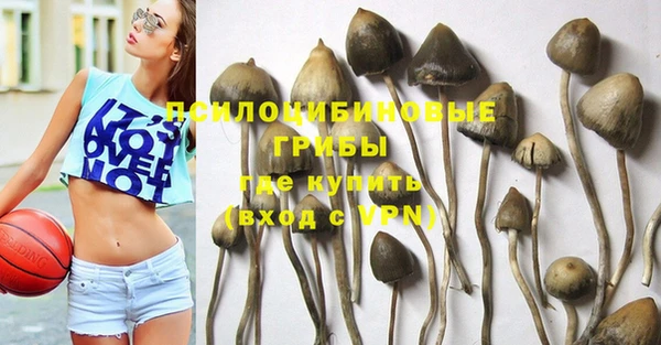гидропоника Карталы