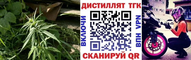 Купить  Гусиноозёрск  ТГК Wax 