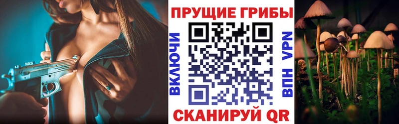 Галлюциногенные грибы Cubensis  Купить  Гусиноозёрск 
